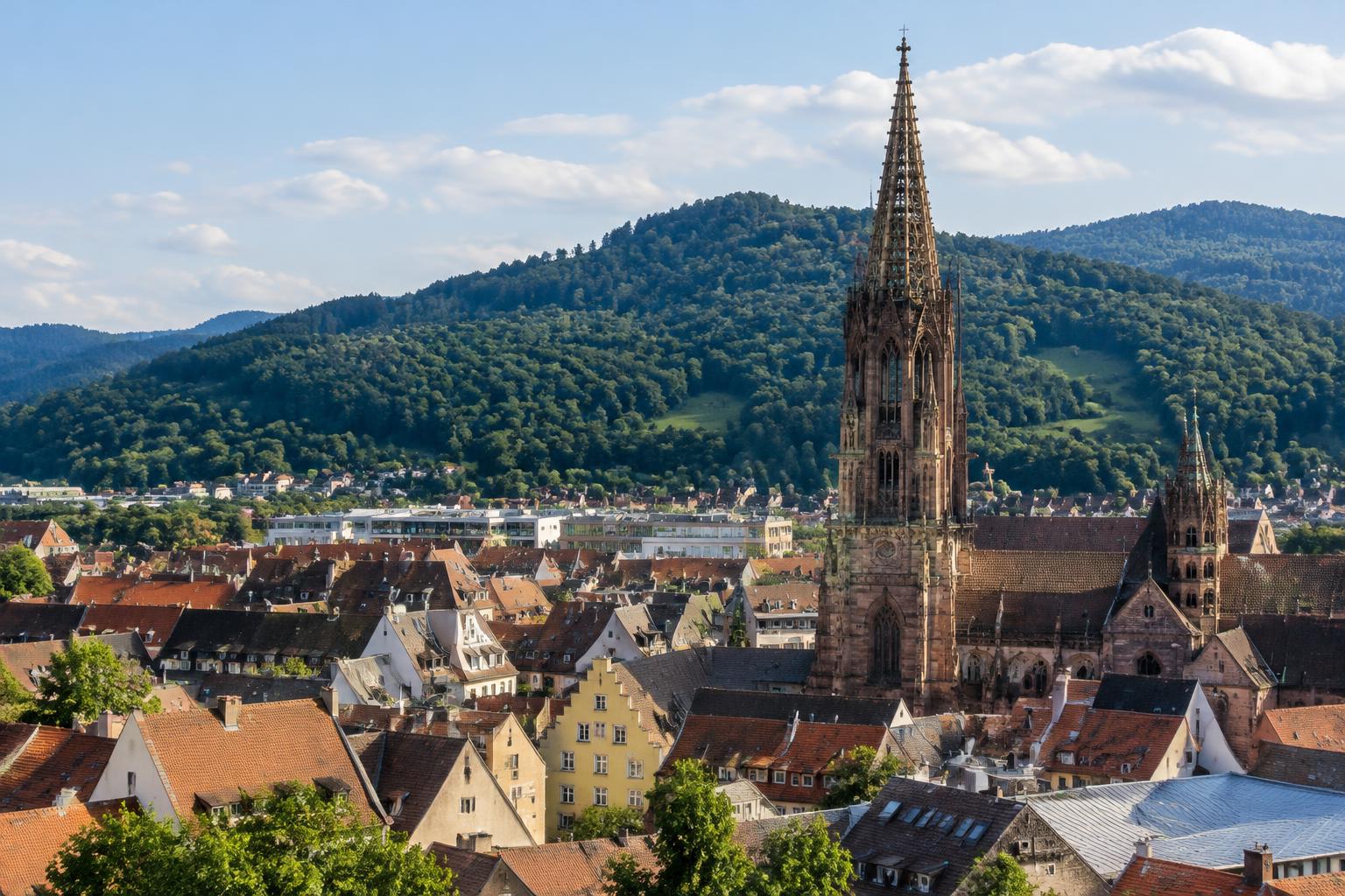 Kapitalanlage-Immobilien in Freiburg